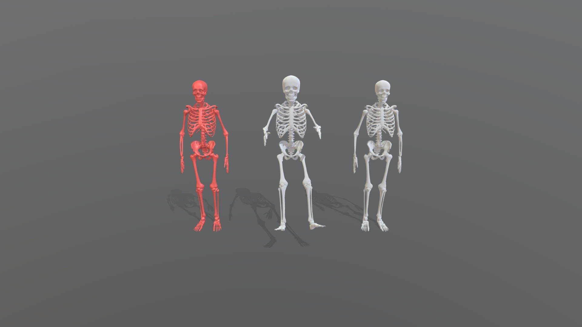 Skeletons