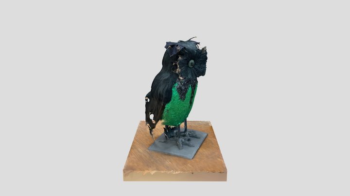Goodwill Owl #1 3D Model