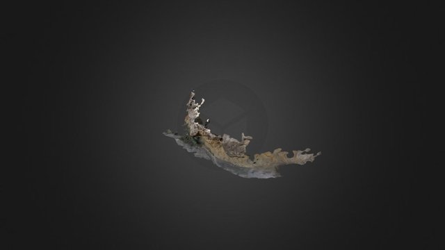 N033 (day 4 Unknown) 3D Model