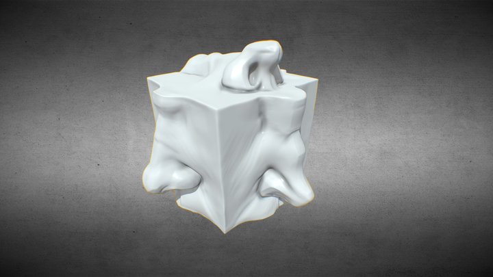 Nose Study Cube 3D Model