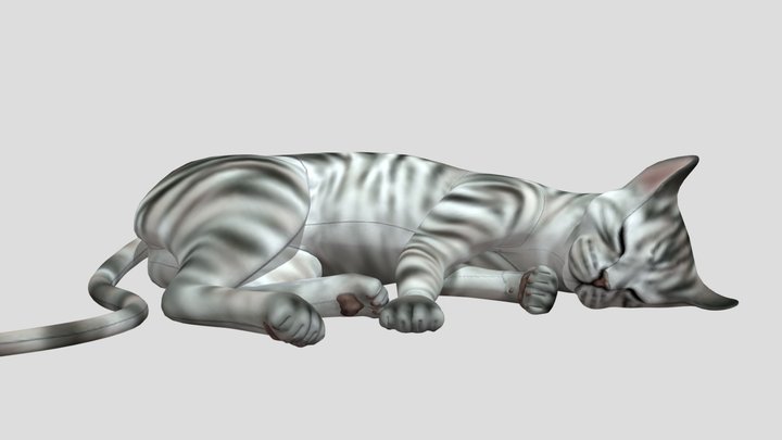 Cat! 3D Model