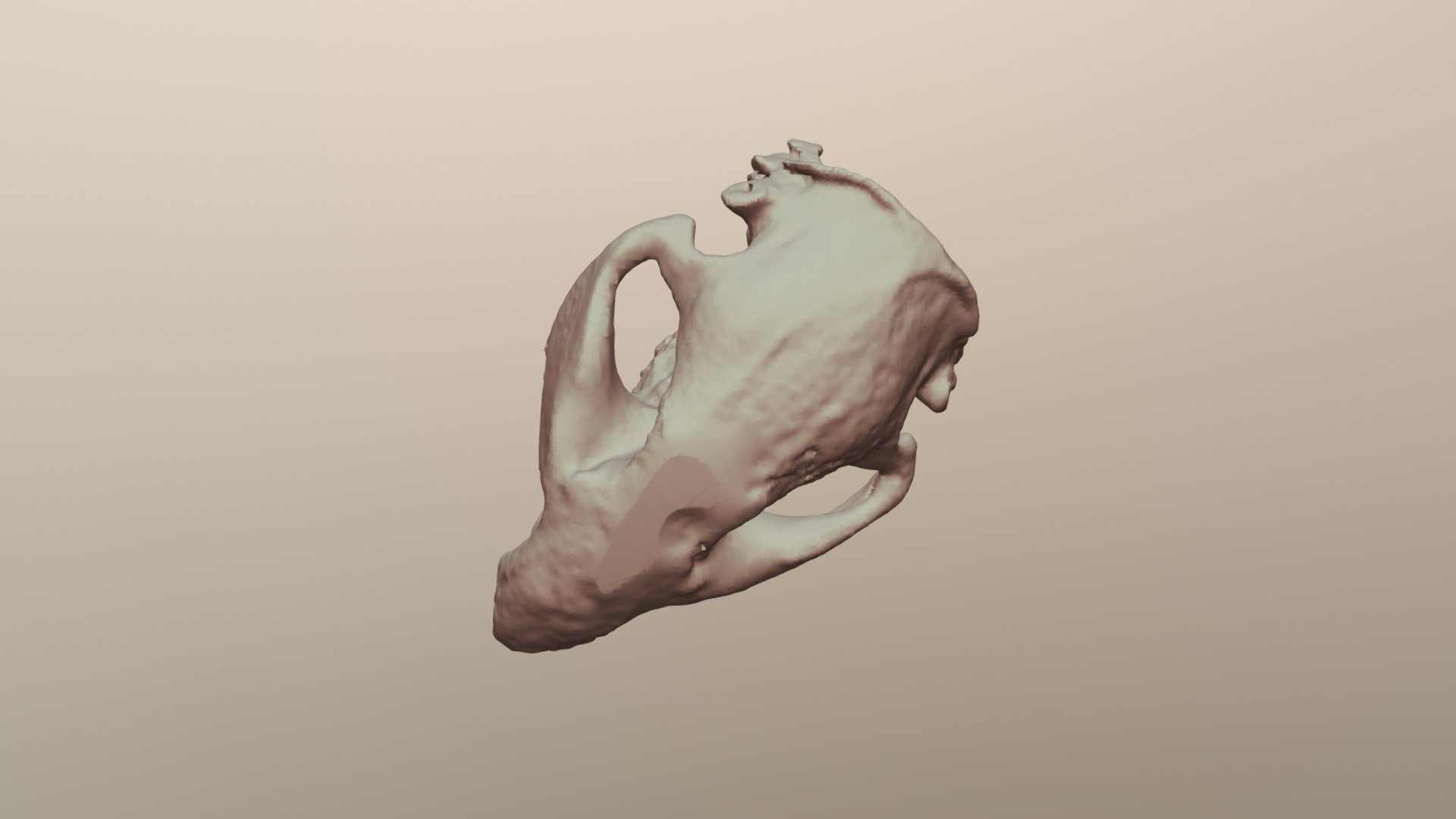 5A-Beaver-BC1830