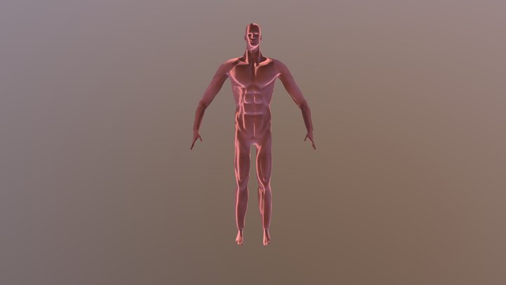Estudio Anatomia 3D Model