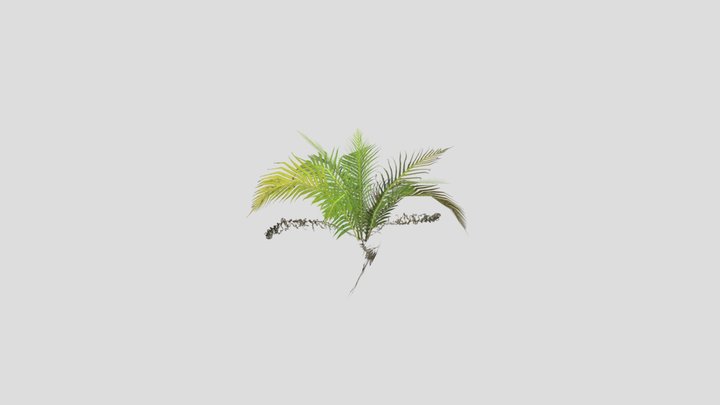 bush 3D Model