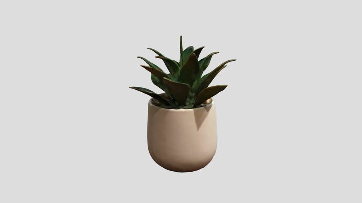 Fake Plant 0001 3D Model