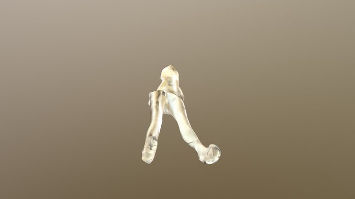New Qlone 3D Model
