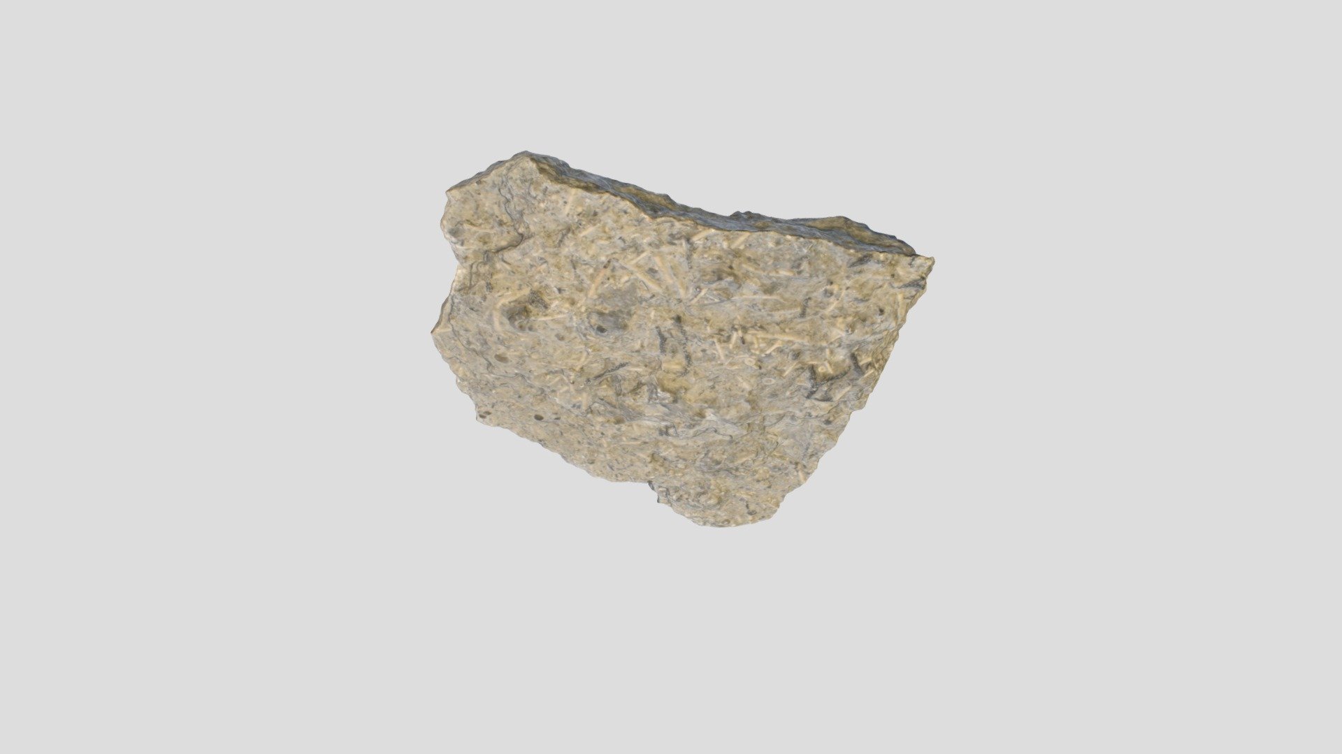 Back table sample - 3D model by iowa_state_sciences [a163964] - Sketchfab