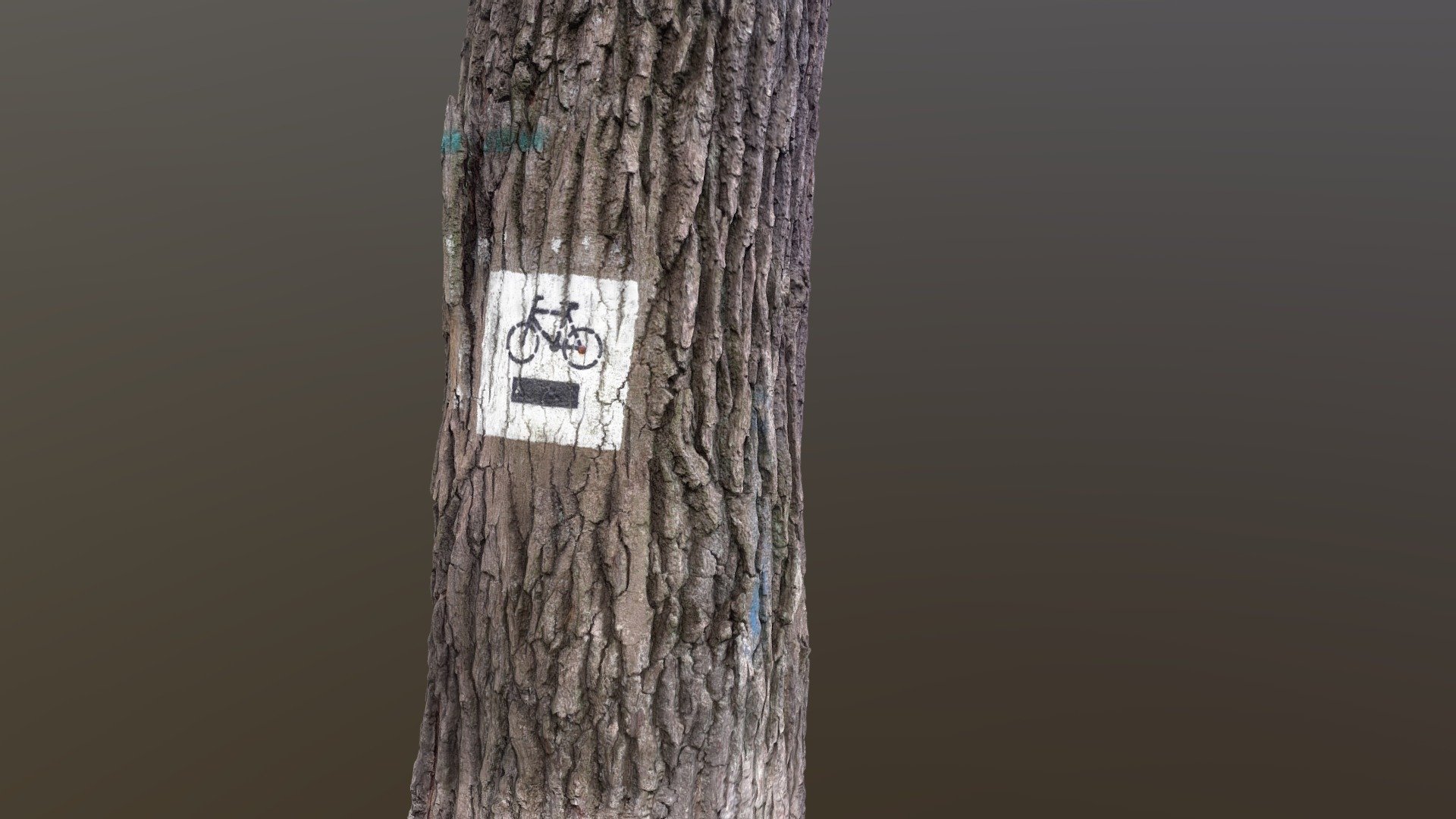 Tree photoscan