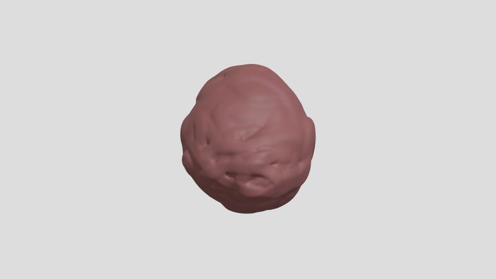 model 3D Model