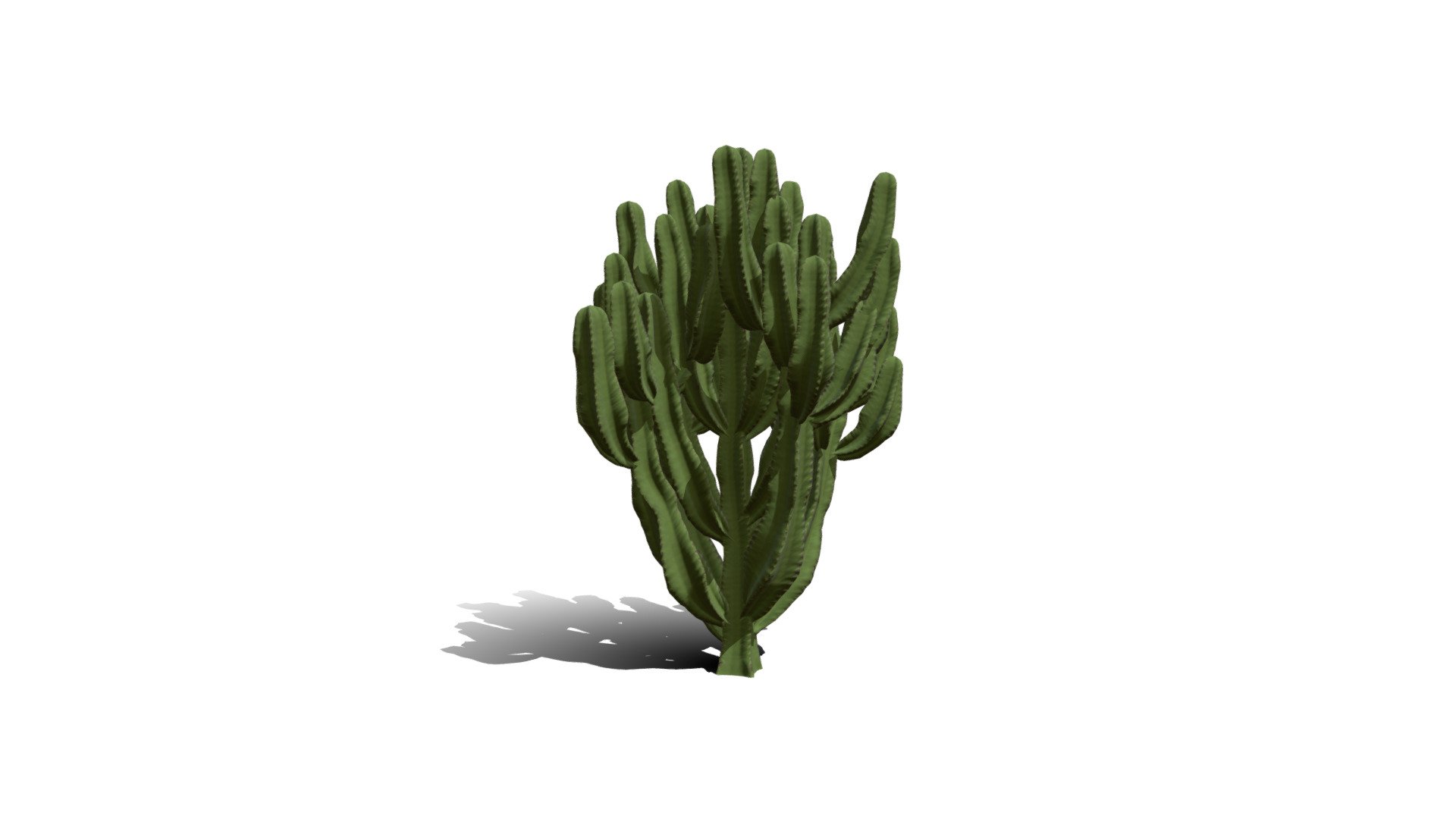 Realistic HD Candelabra tree (22/40) — Sketchfab embed 3D viewer
