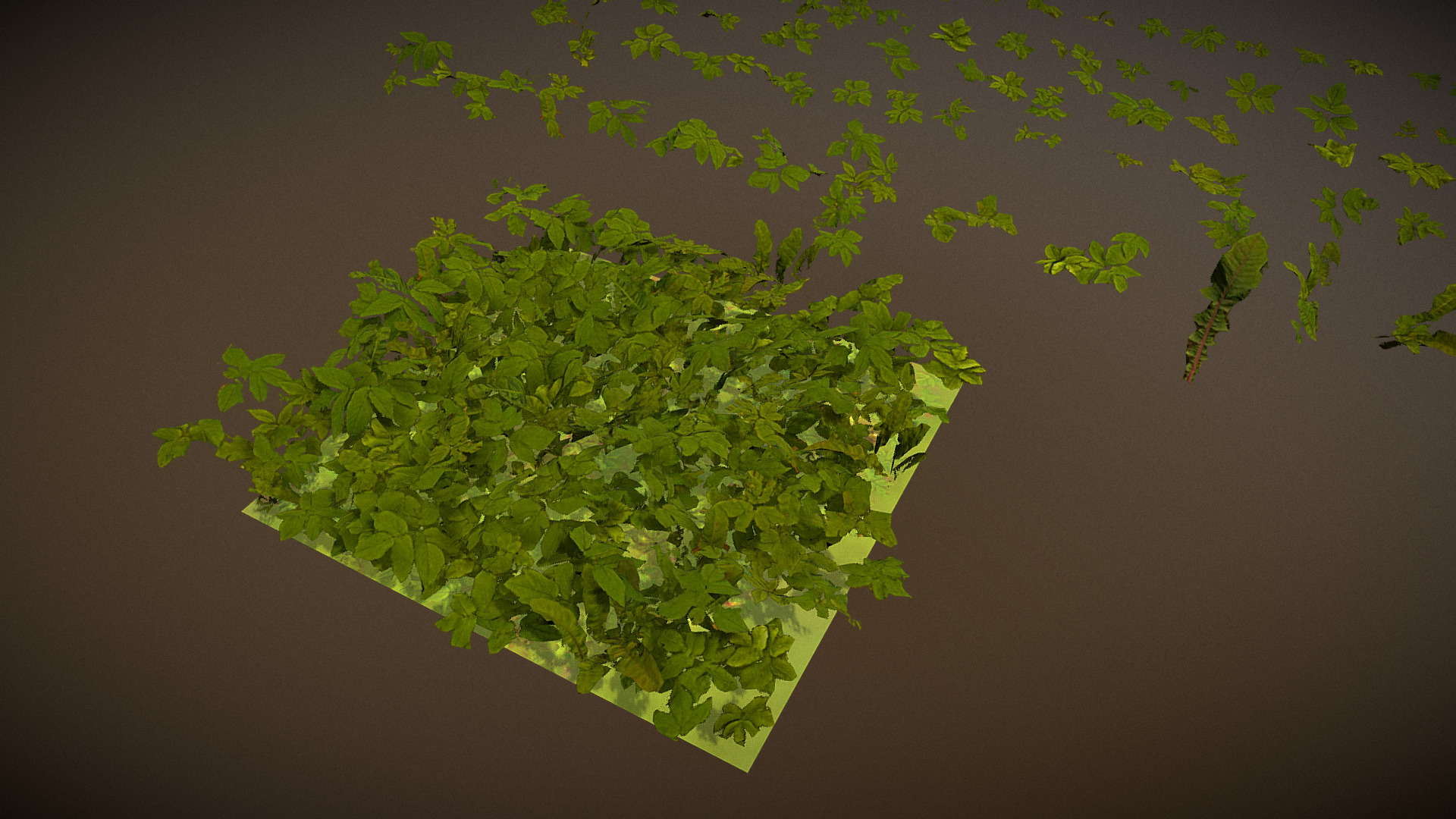 3D model Grass cover – ground elder and sow thistles - This is a 3D model of the Grass cover - ground elder and sow thistles. The 3D model is about a green plant on a table.