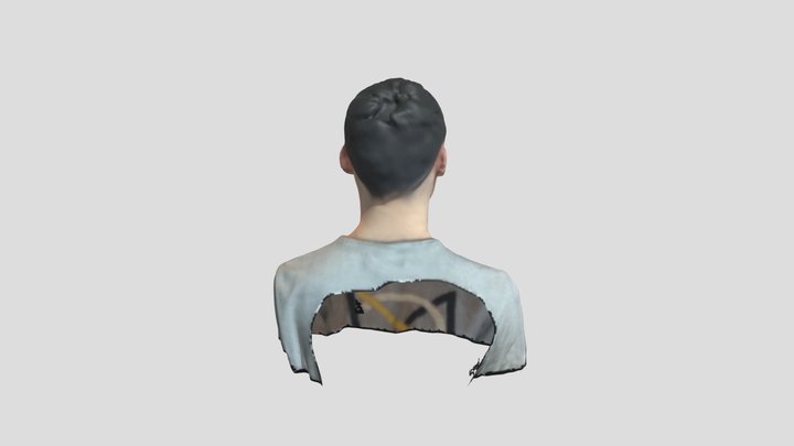 Dwood Scan2 3D Model