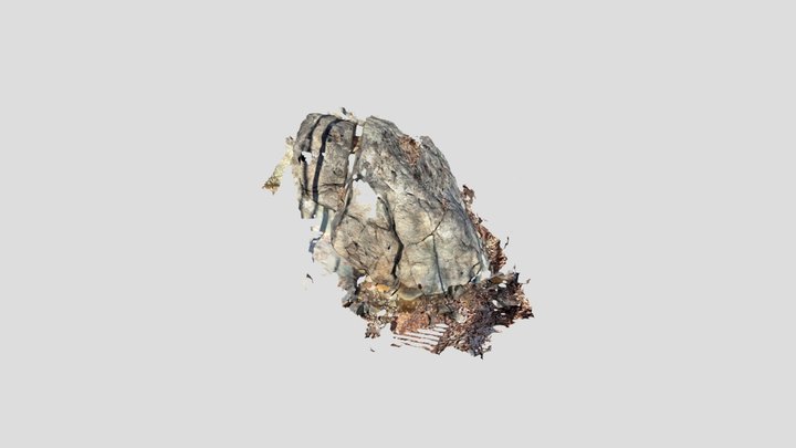 muchy 3D Model