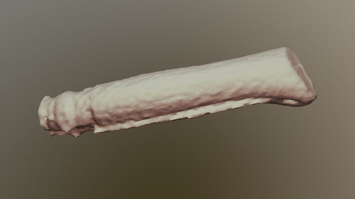 Knife Scan 3D Model