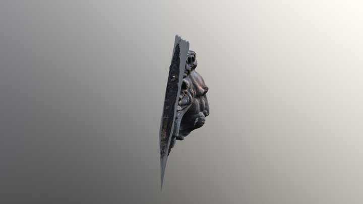 Lion 3D Model