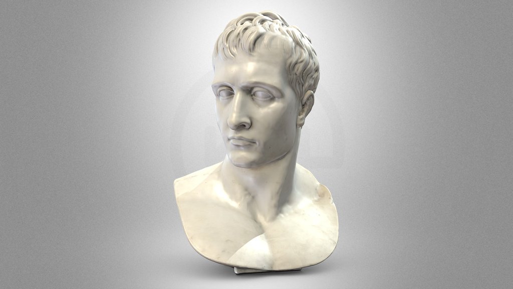 The bust of Napoleon Bonaparte