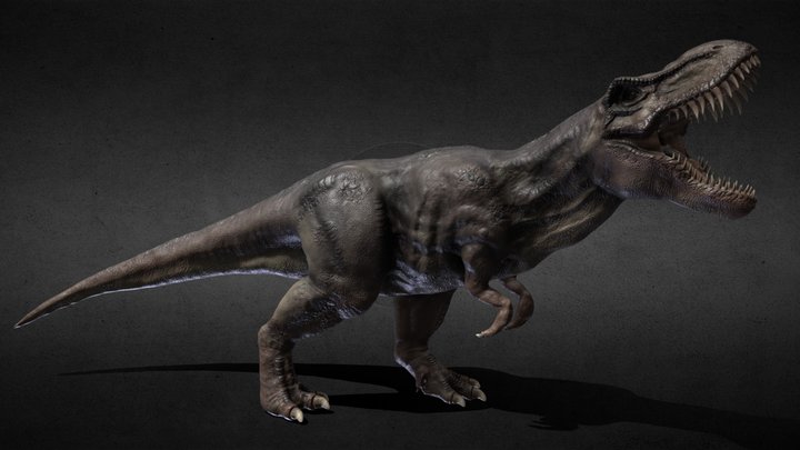 Rex 3D Model