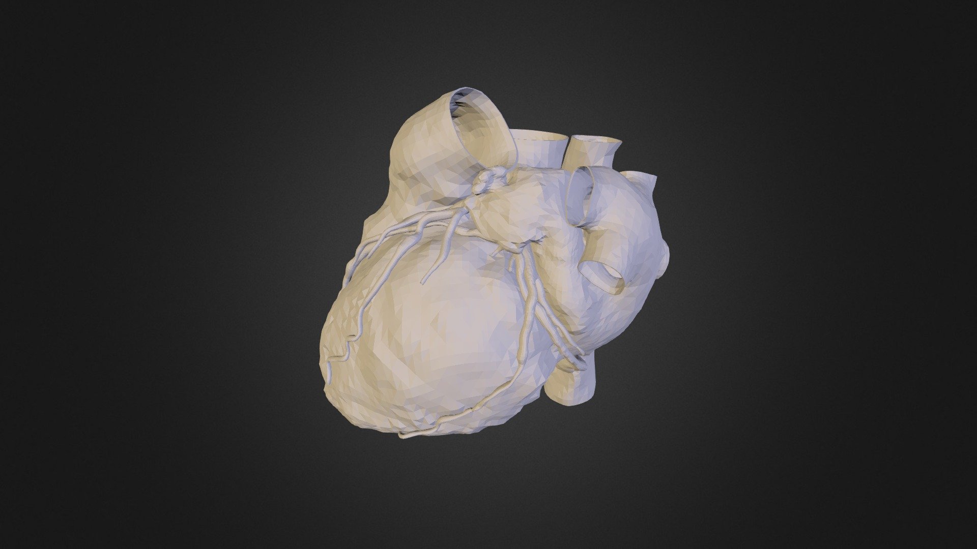 heart - 3D model by mani.svs [a1798d4] - Sketchfab