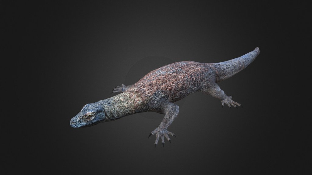 Komodo Game - A 3D model collection by KomodoDabbin - Sketchfab