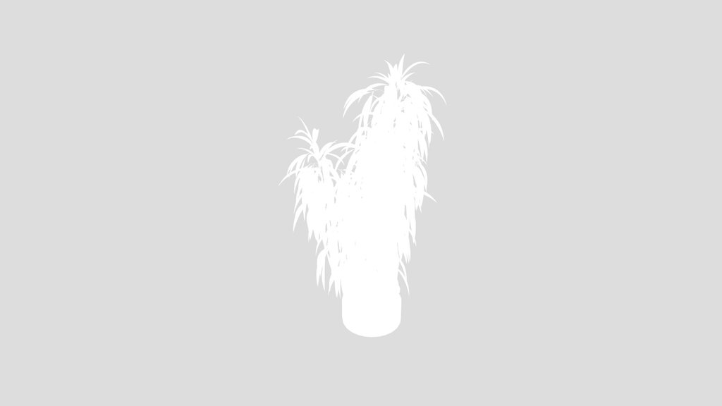 Ficus Binnendijkii Alii Maclellandii