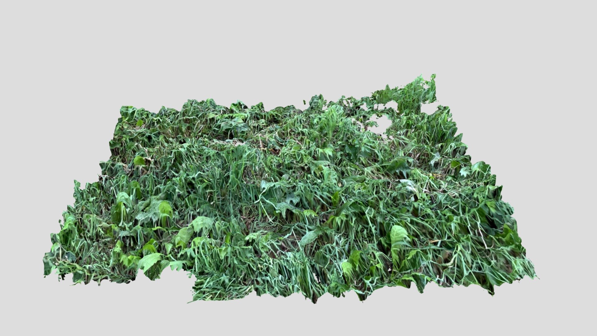 Grass — Sketchfab embed 3D viewer