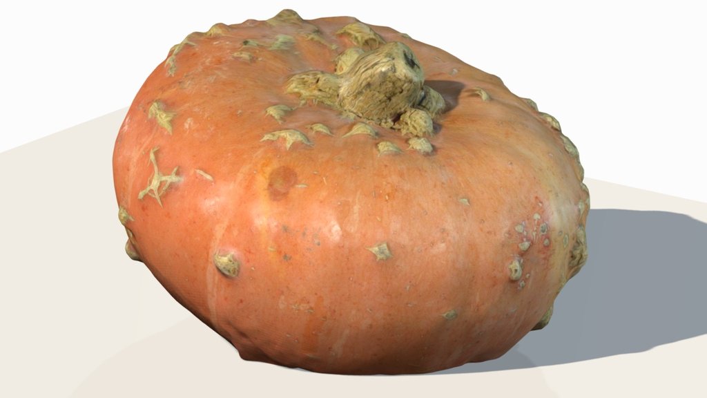 Peanut Pumpkin