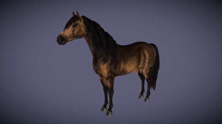 Andalusian Horse 3D Model