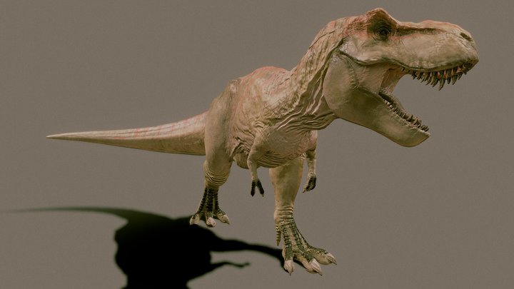 Dinosaur 3D models - Sketchfab