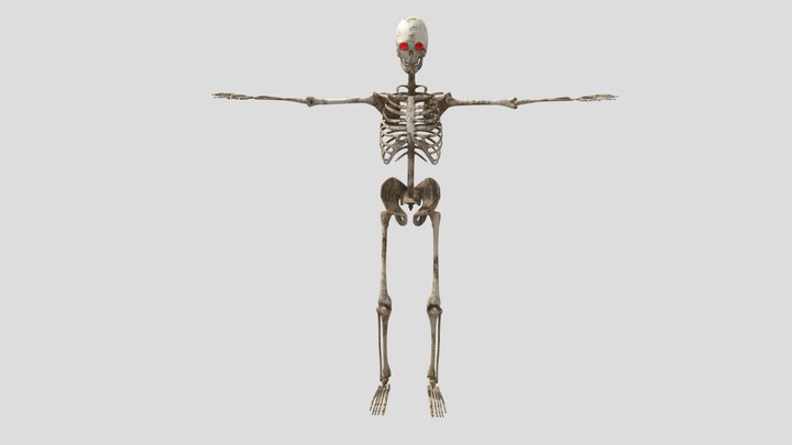 Filthy Skeleton with Jewel Eyes 3D Model