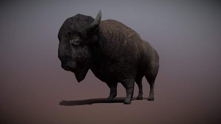 3DRT - Bison 3D Model