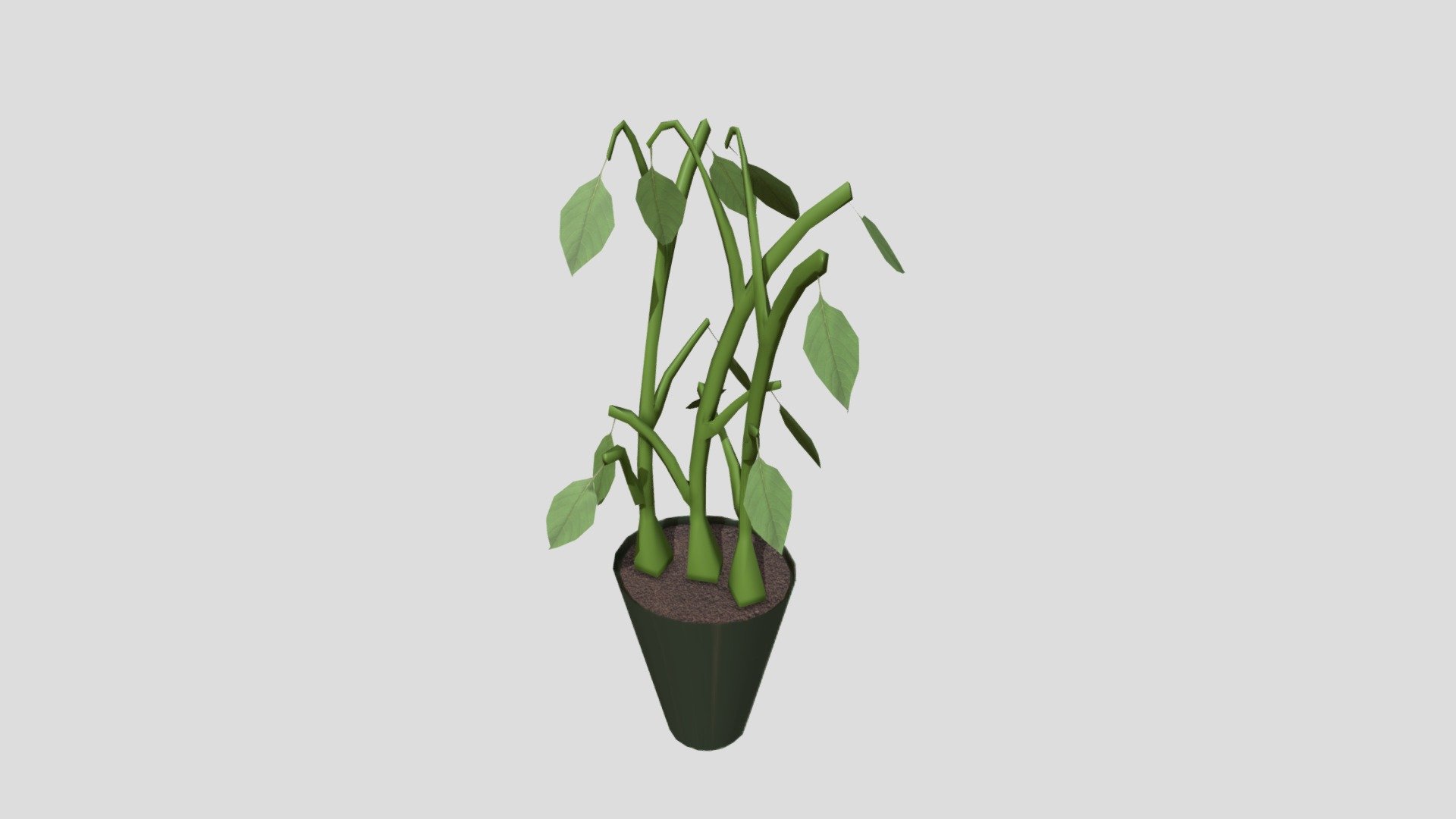 wk8_Plant_Kramer