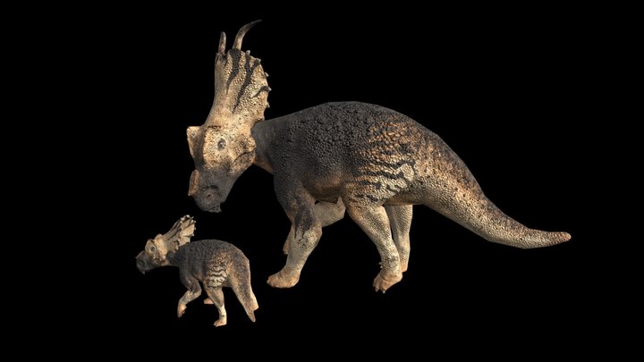 Achelousaurus | Dinosaur 3D Model