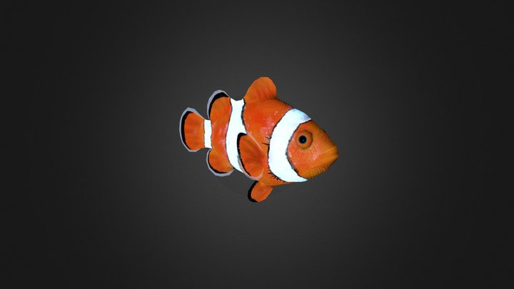 Der Wanderer: Clownfish 3D Model