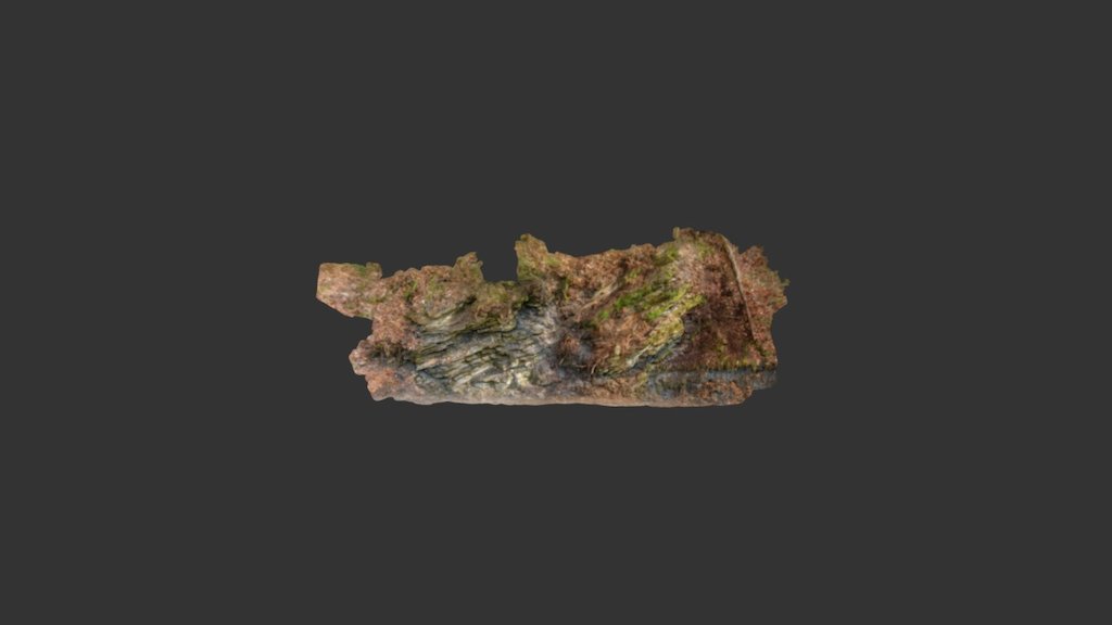 Dovzan gorge Carboniferous tempestite section