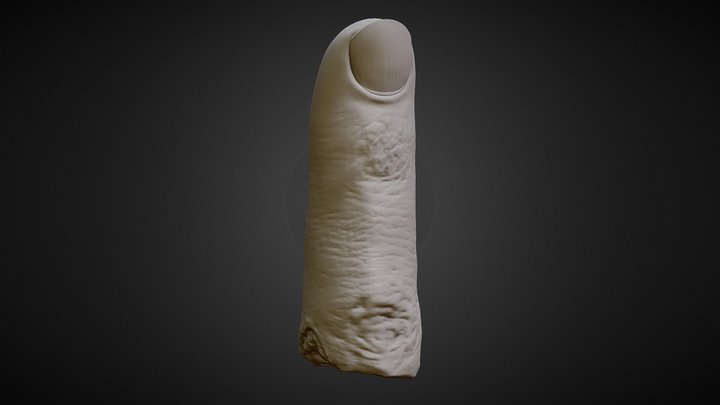 3D PRINTABLE SEVERED FINGER 3D Model
