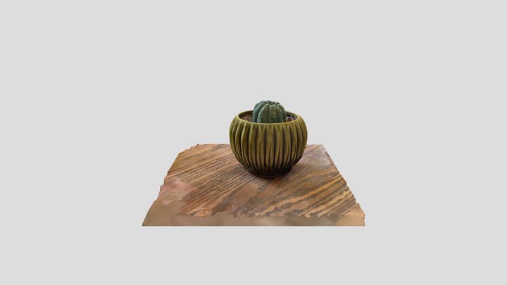 RealityScan test #1 3D Model