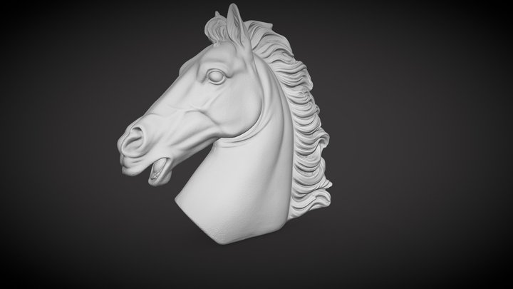 Testa Di Cavallo By Revopoint POP 3D Model