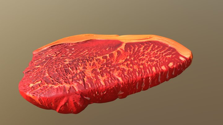 BEEF 3D Model