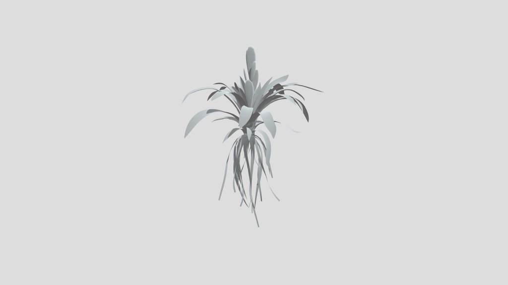 Bromeliad Tropical Flower Small