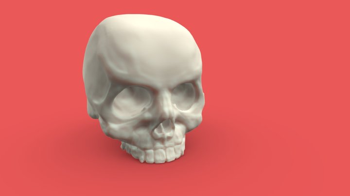 Learn Sculpt - Skull 1 3D Model