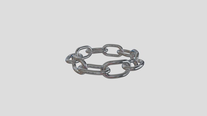 spinain 3D Model