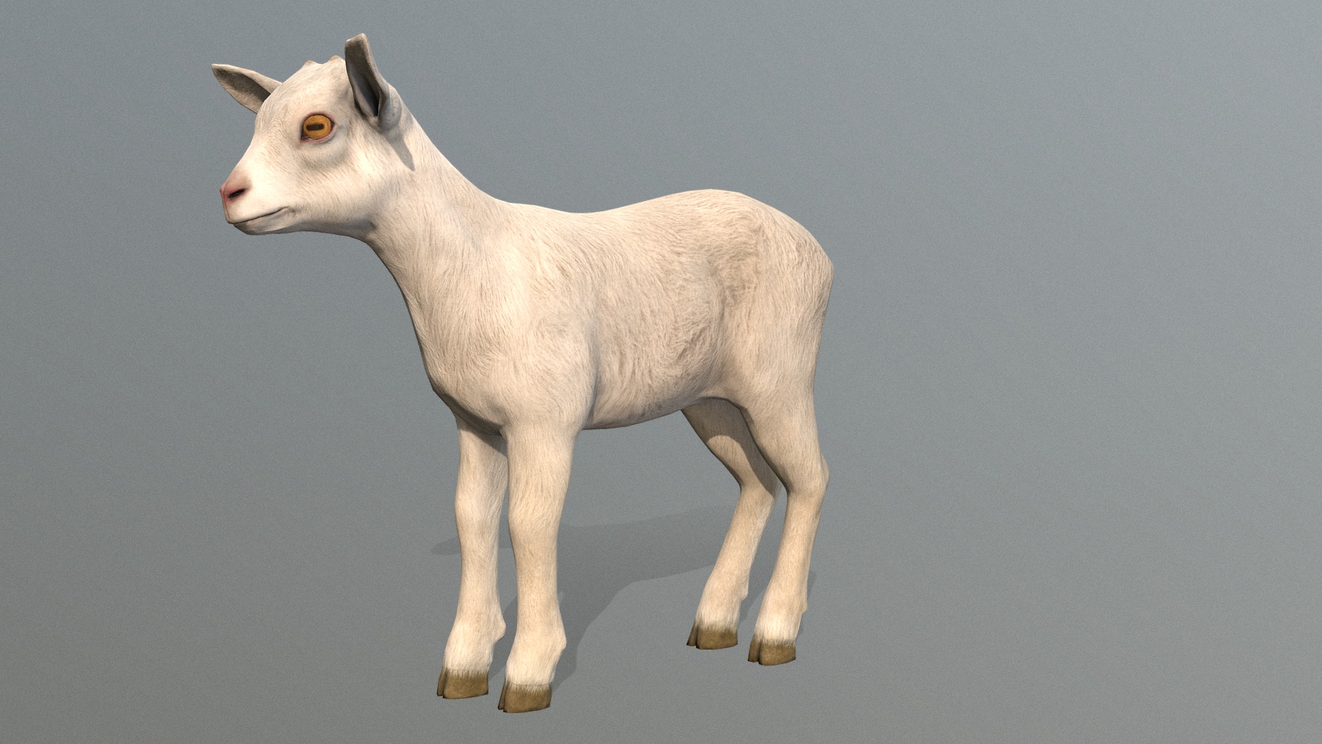 3D model Goatling - This is a 3D model of the Goatling. The 3D model is about a white goat with a black background.