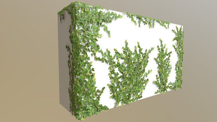 Ivy Pack - Low Poly 3D Model