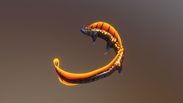 Salamander Dragon 3D Model