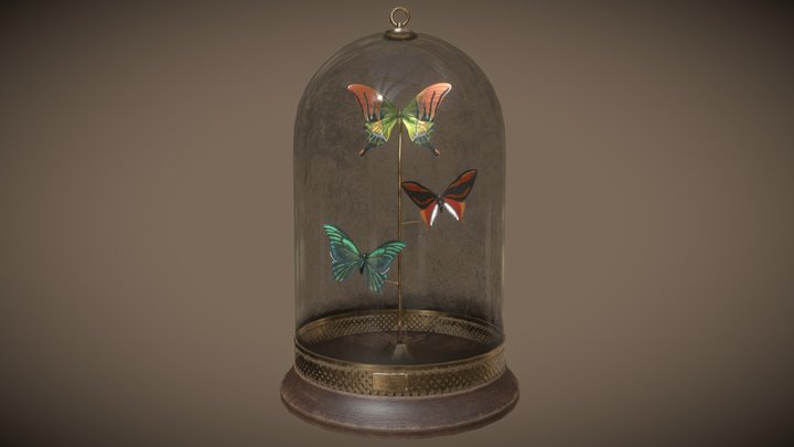 Butterfly Display Dome 3D Model