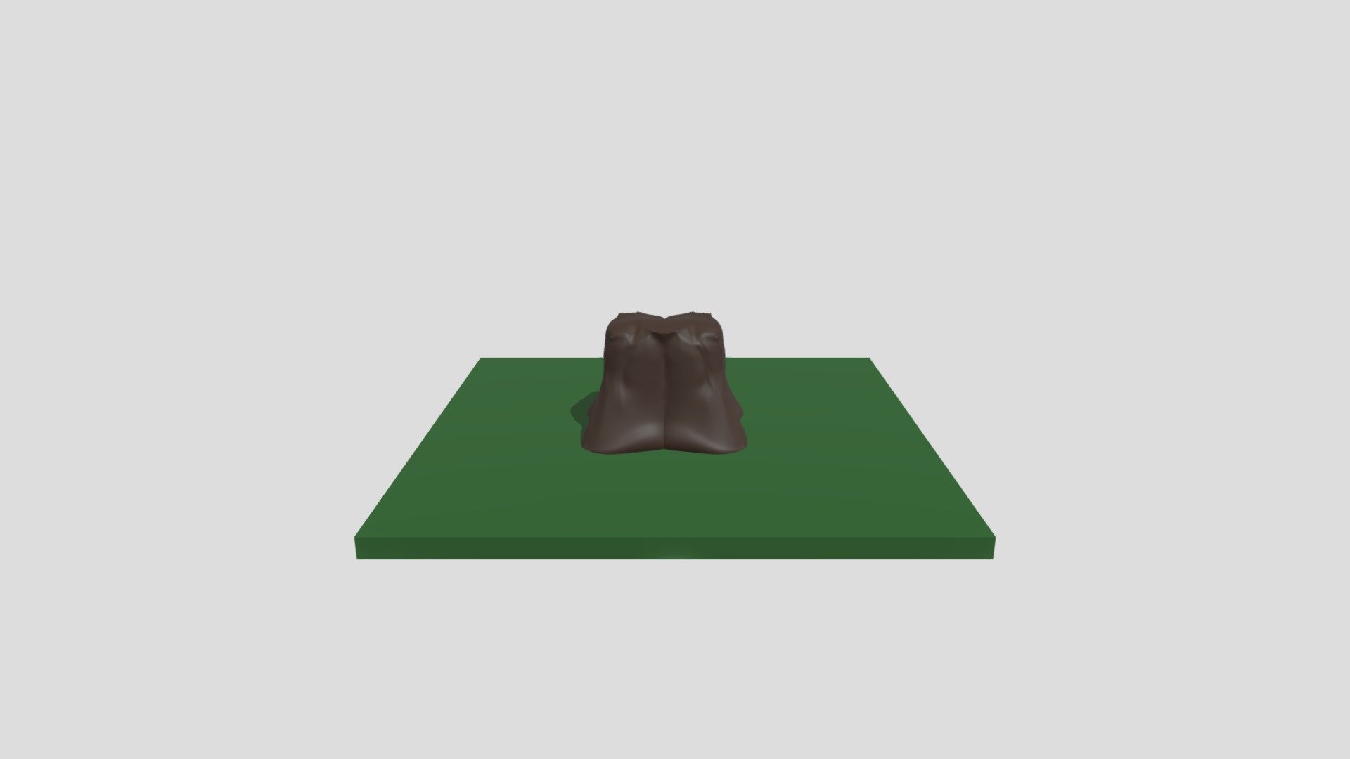 Tree Trunk