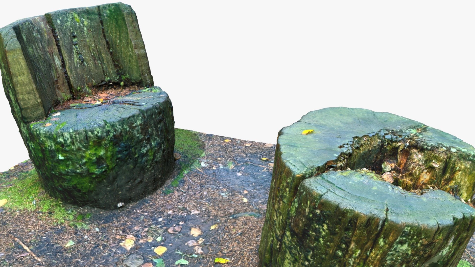 Forest Chair and Table (Trunk), Photoscan