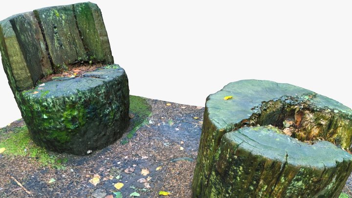 Forest Chair and Table (Trunk), Photoscan 3D Model