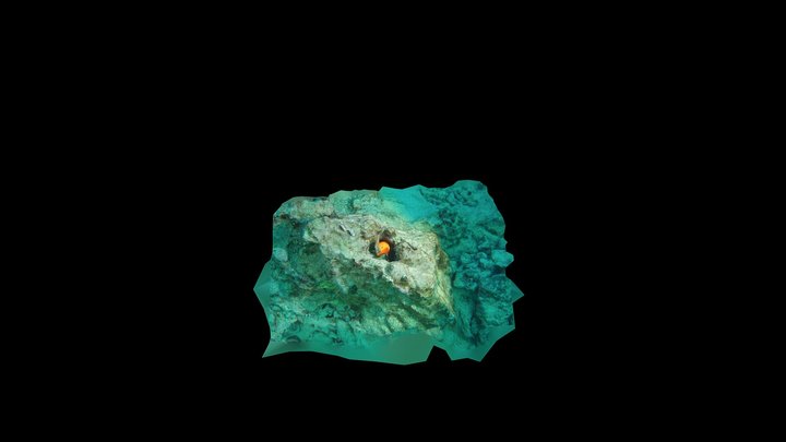 Keauhou Fishing Lure in Coral Reef 3D Model