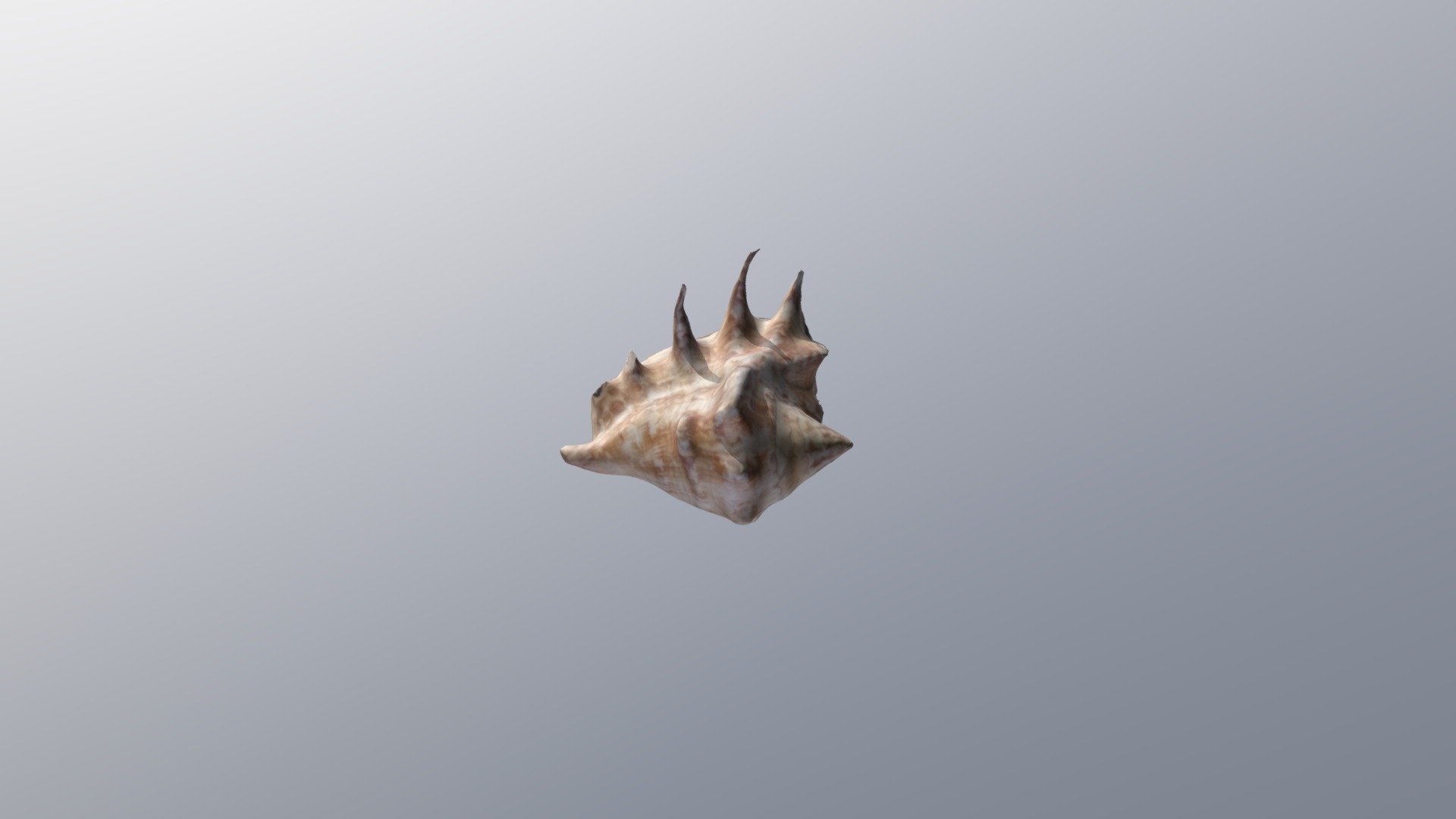 Shellvis - 3D model by Jamie (@jamlucas14) [a1b1ea1] - Sketchfab